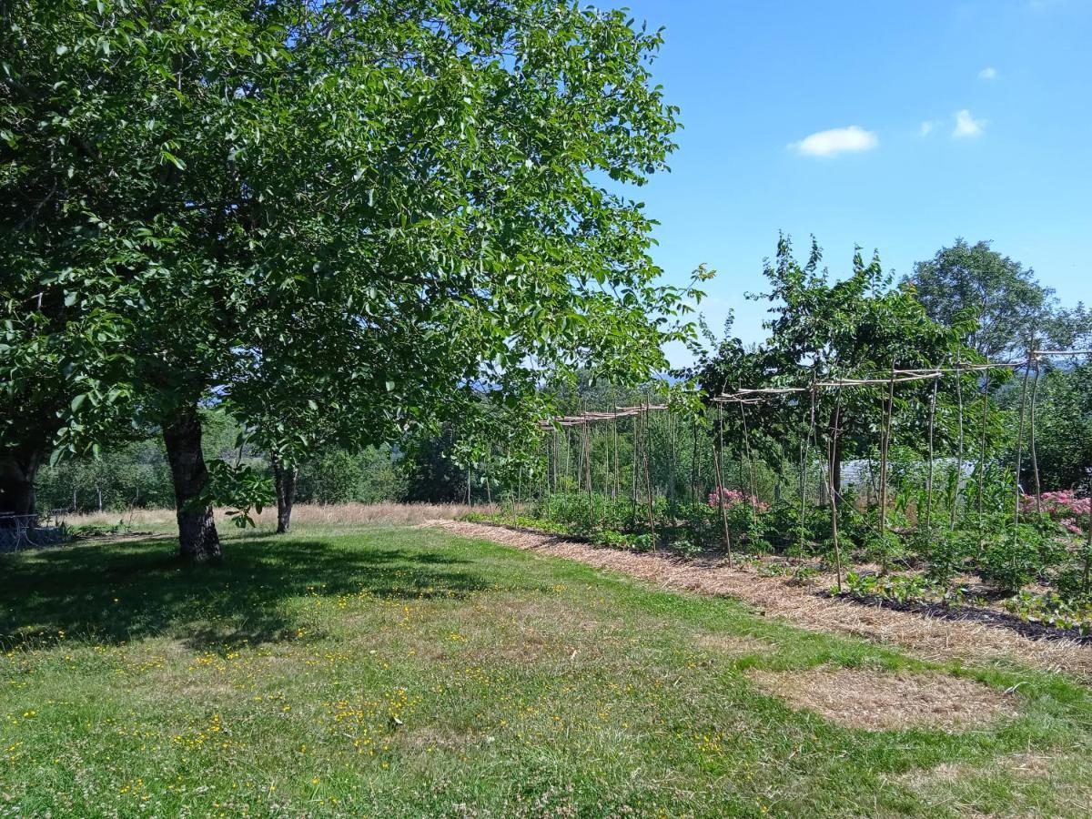 Charmant Gite Haut-Marnais Montcharvot Exterior foto