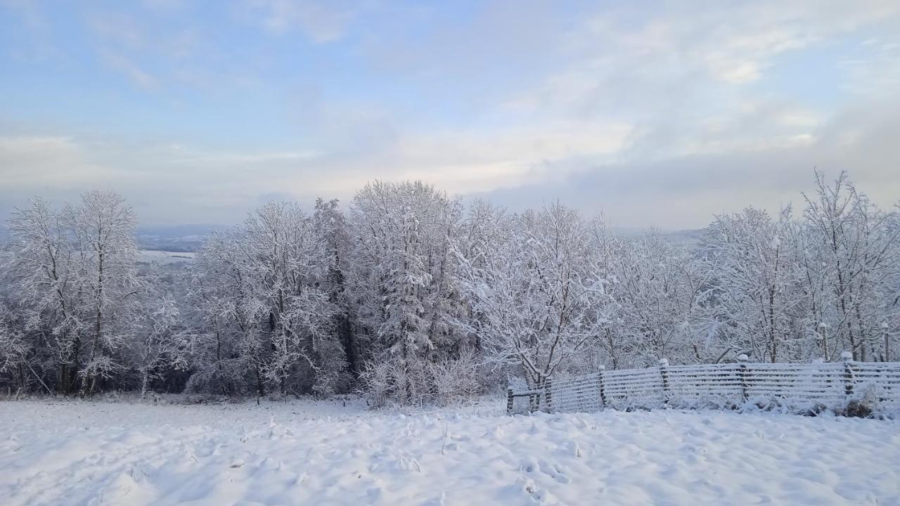 Charmant Gite Haut-Marnais Montcharvot Exterior foto