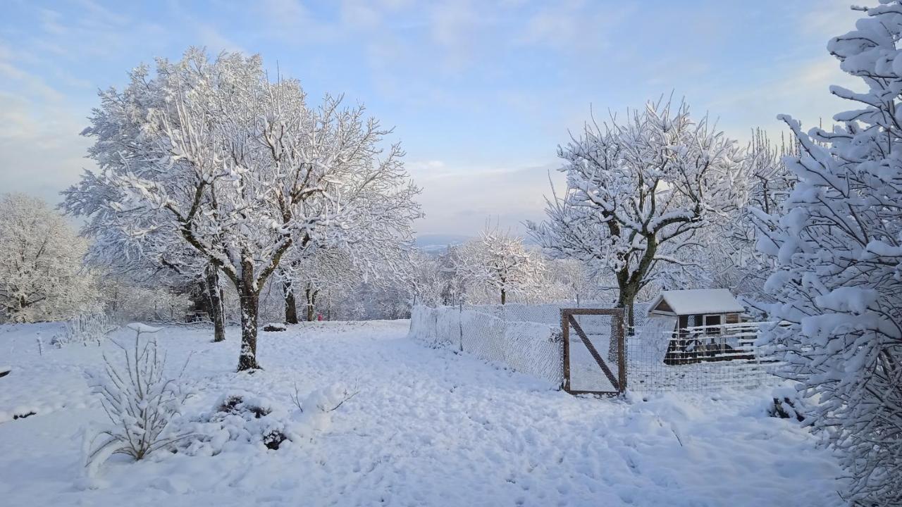 Charmant Gite Haut-Marnais Montcharvot Exterior foto